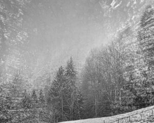 christoph-bertschinger, kuenstlerische-fotografie, wintern 8, wald und fels