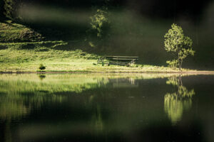 christoph-bertschinger, kuenstlerische-fotografie, Toggenburgerland 3, Baumspiegelung, eingezäunt